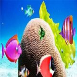 Dwonload Aquarium Cell Phone Game